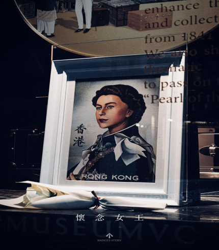 Museum collection display